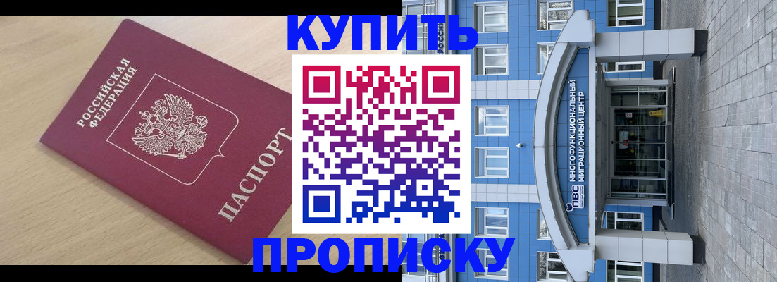 временная регистрация для всех в Алейске